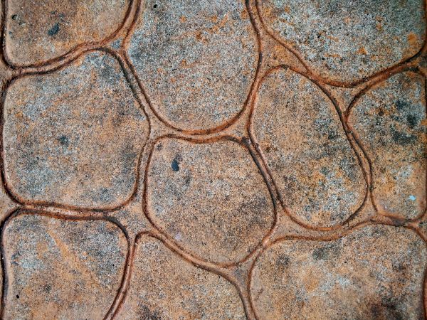 Cost of Concrete Stamping in Greenwood