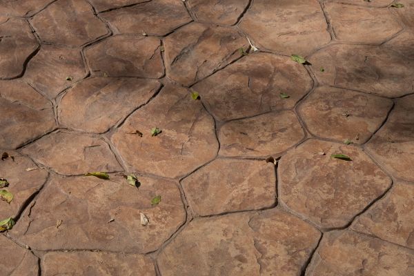 Cost of Concrete Texturing in Greenwood