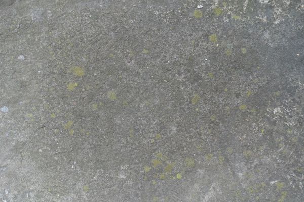 Cost of Slab Staining Service in Greenwood